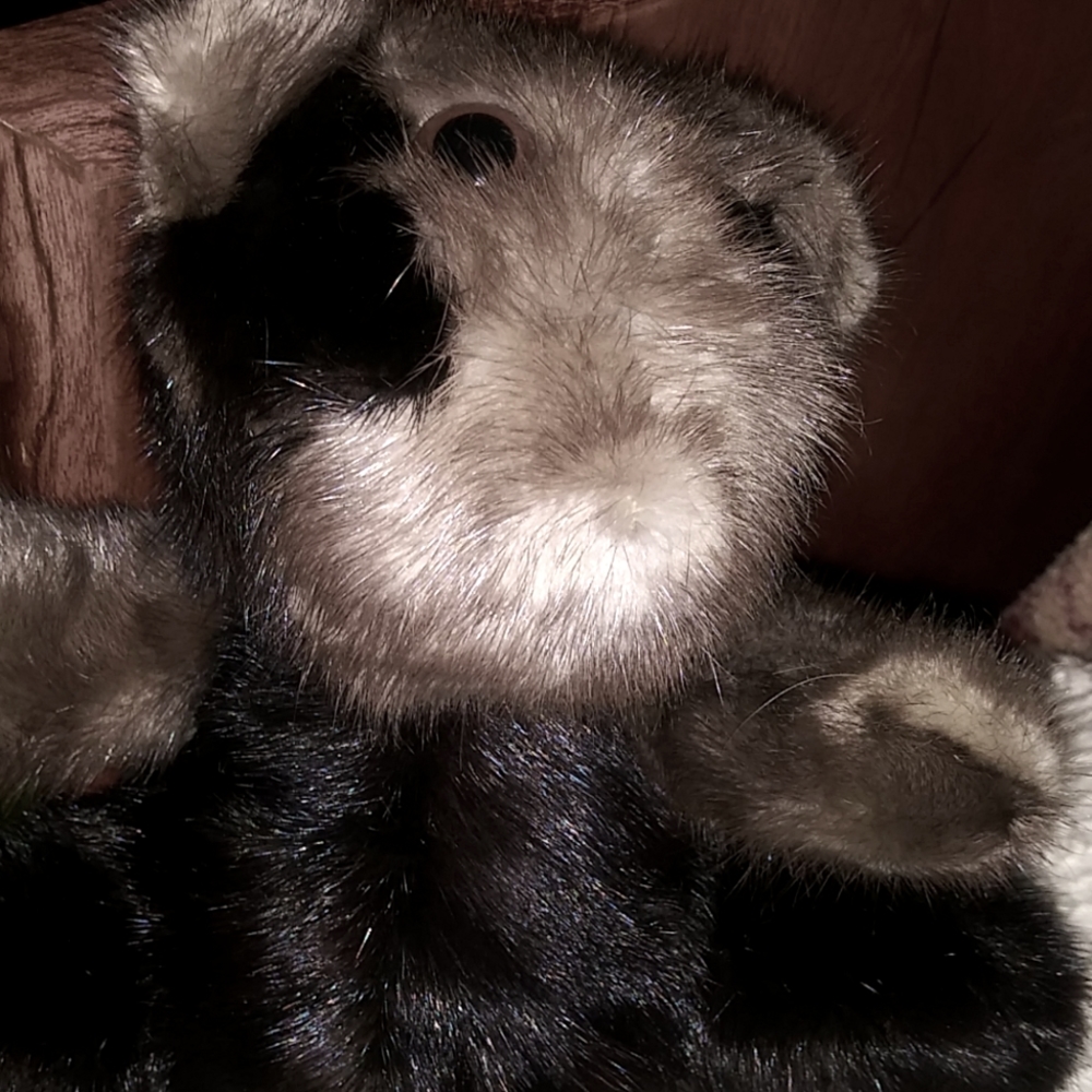Chinchilla teddy bear